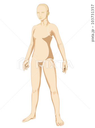 マネキン 103731357