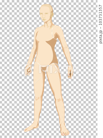 マネキン 103731357