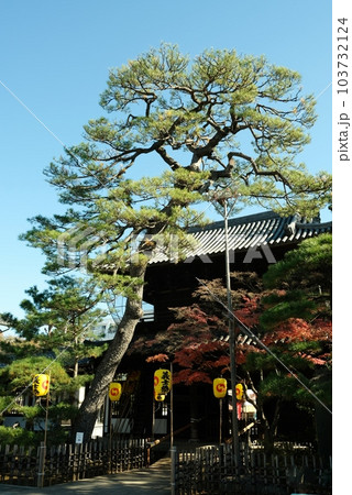 着々と義士際の準備が整う泉岳寺 着々と義士際の準備が整う泉岳寺 103732124