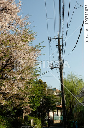 様々なケーブルや電線とそれらを支える電柱 103732878