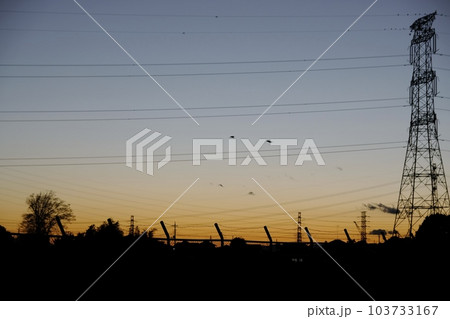 夕焼け空に浮かび上がる送電鉄塔 103733167