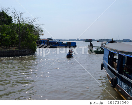 ベトナム メコン川ボートクルーズ トイソン島 ベトナム メコン川ボートクルーズ トイソン島 103733540