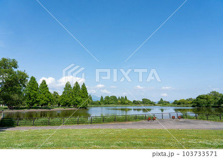 滋賀県 琵琶湖のほとりにある奥びわスポーツの森のしずかの湖 滋賀県 琵琶湖のほとりにある奥びわスポーツの森のしずかの湖 103733571