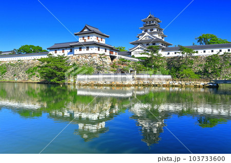 【愛媛県】快晴の今治城（天守閣と山里櫓） 103733600
