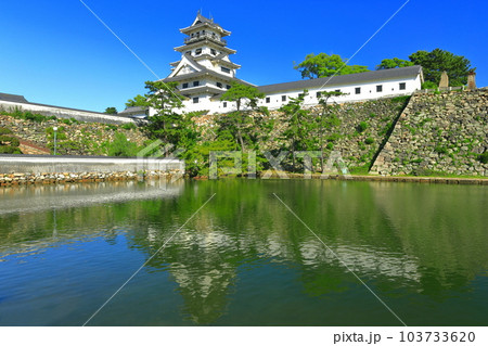 【愛媛県】快晴の今治城天守閣 103733620