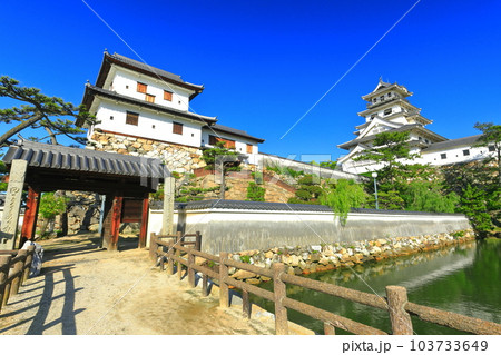【愛媛県】快晴の今治城(天守閣と山里櫓) 【愛媛県】快晴の今治城(天守閣と山里櫓) 103733649