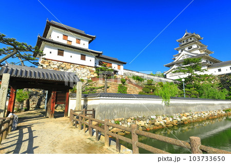 【愛媛県】快晴の今治城（天守閣と山里櫓） 103733650