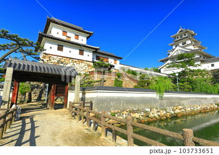 【愛媛県】快晴の今治城（天守閣と山里櫓） 103733651