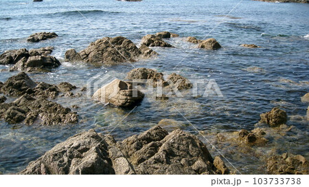 澄んだ海と奇岩だらけの海岸 103733738