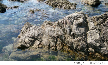 澄んだ海と奇岩だらけの海岸 103733739