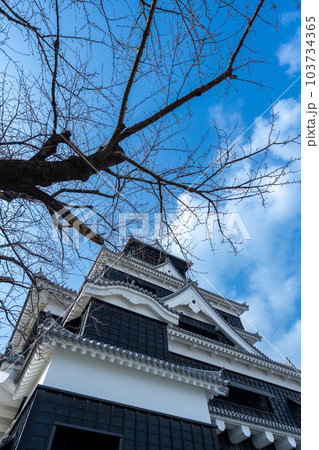 熊本地震の復旧工事が完了した熊本城天守閣と爽快な青空風景|熊本県熊本市 熊本地震の復旧工事が完了した熊本城天守閣と爽快な青空風景|熊本県熊本市 103734365