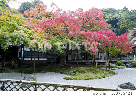 千如寺大悲王院 103735421