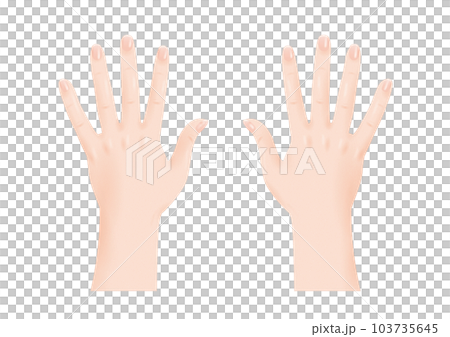 Human body parts real finger nail skin both hands back of hand transparent png background transparent 103735645