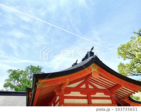 福岡市 住吉神社本殿 福岡市 住吉神社本殿 103735651