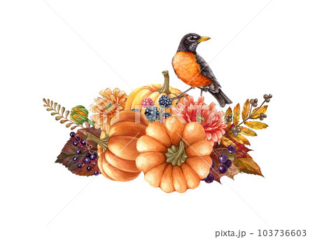American robin with pumpkins floral autumn rustic decor. Watercolor illustration. Hand drawn cozy autumn vintage style decor with robin bird. Pumpkins, fern, berries, leaves floral bright decoration 103736603