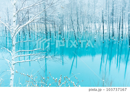 [北海道の絶景］雪の積もった青い池 103737167