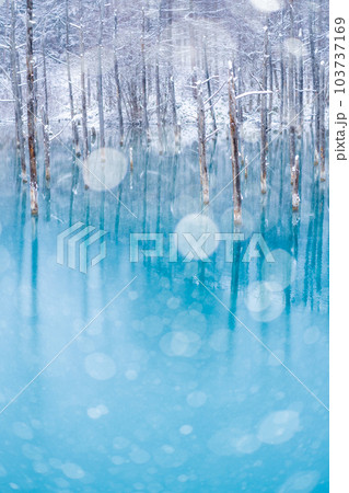 [北海道の絶景］雪の積もった青い池 103737169