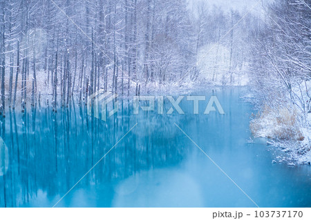 [北海道の絶景］雪の積もった青い池 103737170