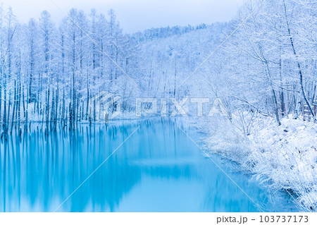 [北海道の絶景］雪の積もった青い池 103737173