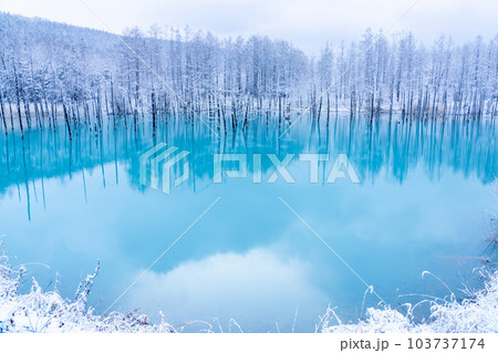[北海道の絶景］雪の積もった青い池 103737174