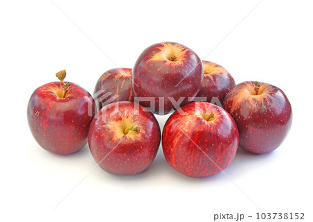 ニュージーランド産りんご　PRINCE (プリンス) 103738152