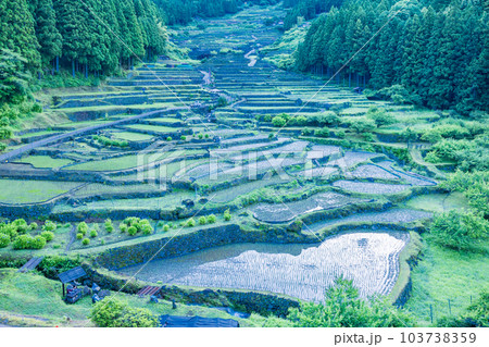 【愛知県】田植えが終わった四谷の千枚田・早朝 【愛知県】田植えが終わった四谷の千枚田・早朝 103738359
