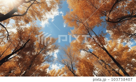 下から見上げた黄色く紅葉した木々と青空の広角撮影「AI生成画像」 103738407