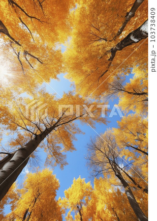 下から見上げた黄色く紅葉した木々と青空の広角撮影「AI生成画像」 103738409