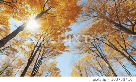 下から見上げた黄色く紅葉した木々と青空の広角撮影「AI生成画像」 103738410