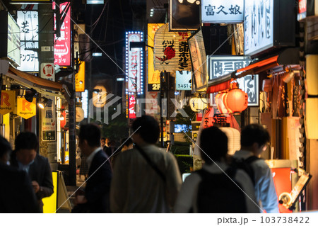 《東京都》賑わう路地裏飲み屋街・慶応仲通り商店街 103738422