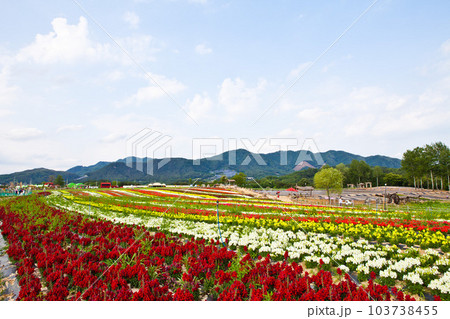 A beautiful flower garden in a park in a rural village. A beautiful flower garden in a park in a rural village. 103738455