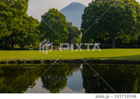 富士市中央公園からの青空と池と富士山 103738596