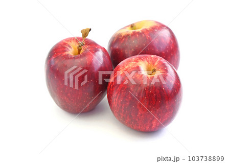 ニュージーランド産りんご PRINCE (プリンス) ニュージーランド産りんご PRINCE (プリンス) 103738899