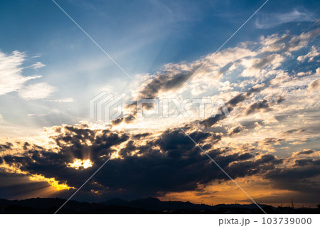 夏　光芒　夕焼　ゴールデンアワー 103739000