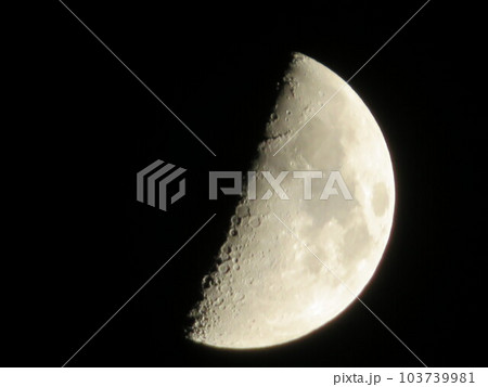 半月 夜空 103739981