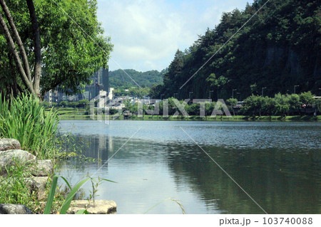 Spring park scenery with bamboo and roses and road in Namgang, Jinju city, South Korea 103740088