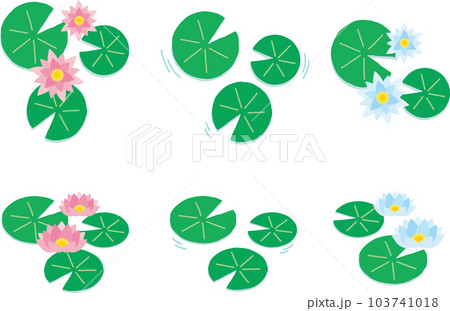 かわいい睡蓮の葉と花のイラストセット 103741018
