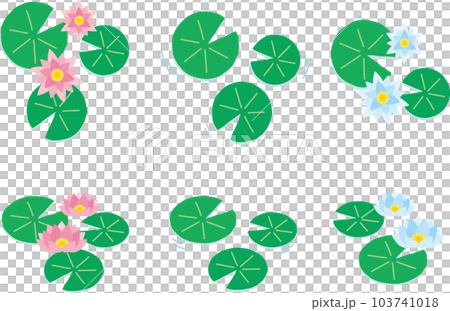 かわいい睡蓮の葉と花のイラストセット 103741018