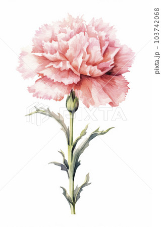 カーネーションのイラスト「AI生成画像」 103742068