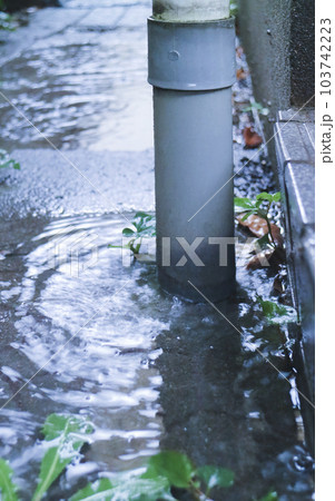 水たまり、雨水が流れ出る縦樋 水たまり、雨水が流れ出る縦樋 103742223