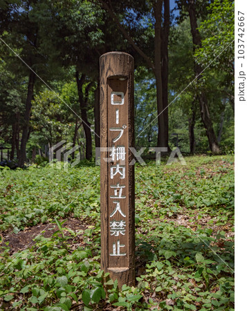 公園に設置された注意喚起の標識【ロープ柵内立入禁止】 公園に設置された注意喚起の標識【ロープ柵内立入禁止】 103742667