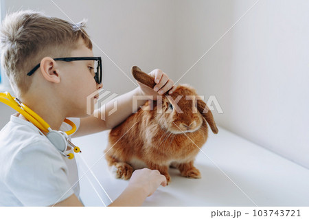 cute little boy playing vet with little rabbit examining its ears. 103743721