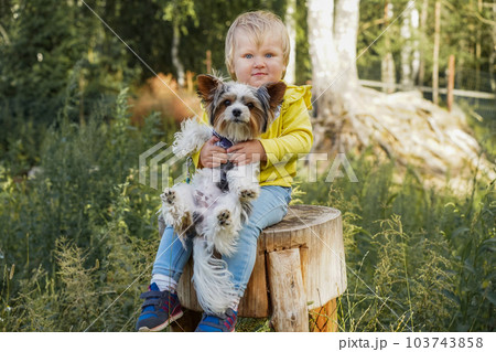 cute baby girl walking yorkshire dog. Kids and pets concept 103743858