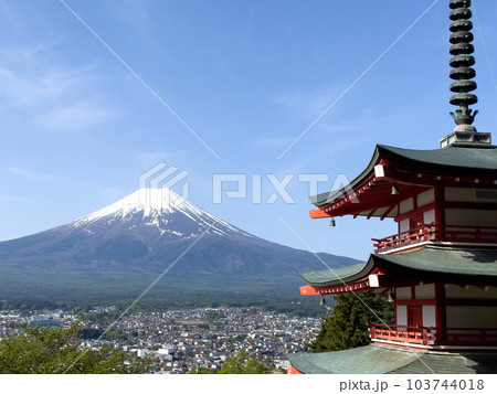 【山梨県】春の新緑の新倉山浅間公園 103744018