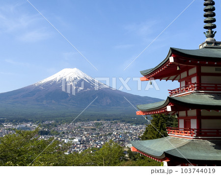 【山梨県】春の新緑の新倉山浅間公園 103744019