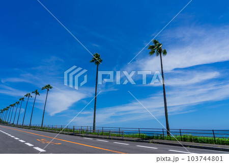 南国の海岸のドライブコース 南国の海岸のドライブコース 103744801