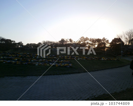 もうすぐ夕焼け 103744809