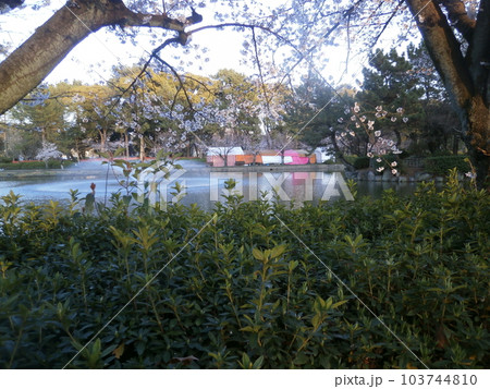 公園の中の出店たち 公園の中の出店たち 103744810