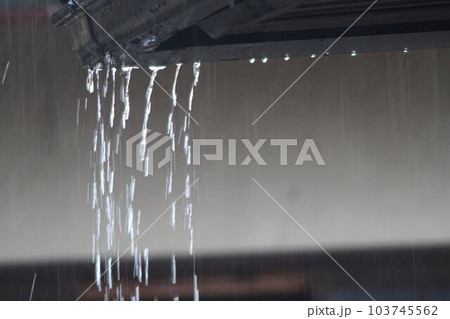雨樋から滴り落ちる水　6月　梅雨 103745562
