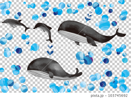 Watercolor touch black whale, dolphin and fluffy polka dot set 103745692
